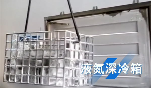 素295.jpg