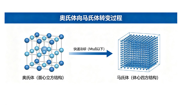 素401.jpg